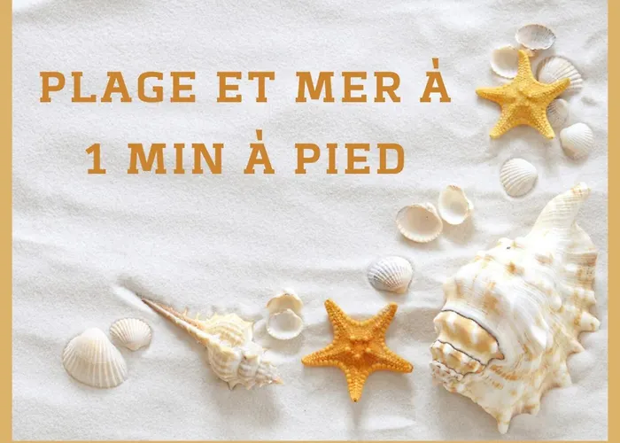 T3 Octopus Vue Parking Palavas-les-Flots