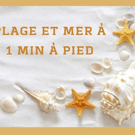T3 Octopus Vue Parking Palavas-les-Flots